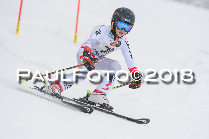 Münchner Skimeisterschaft 2018