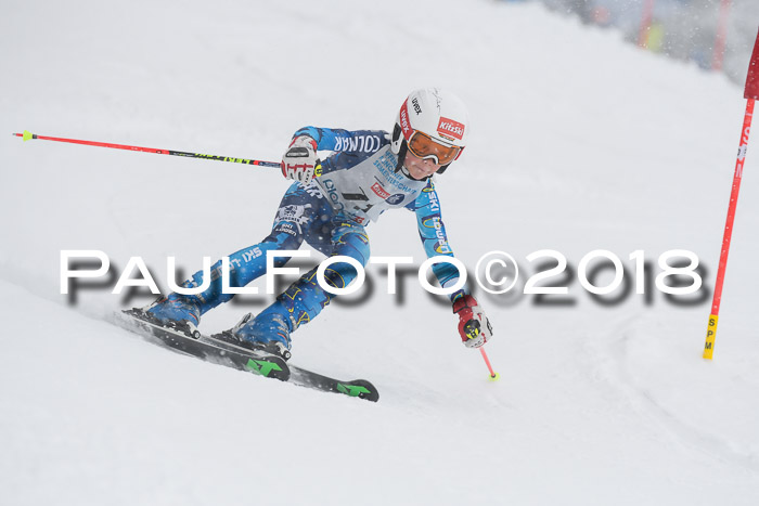 Münchner Skimeisterschaft 2018