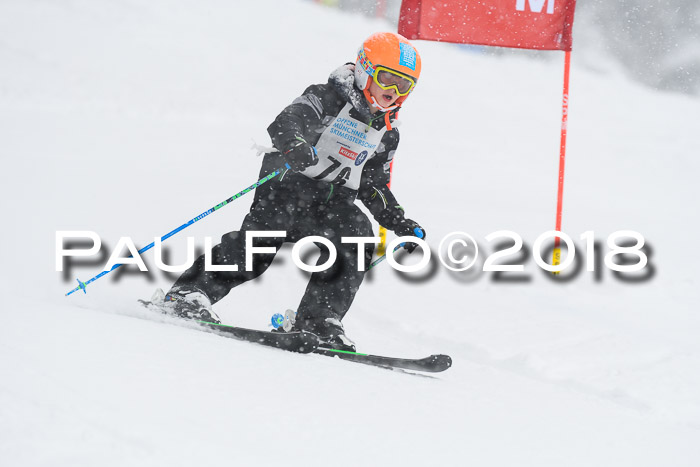 Münchner Skimeisterschaft 2018