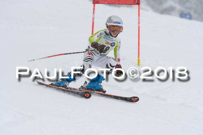 Münchner Skimeisterschaft 2018