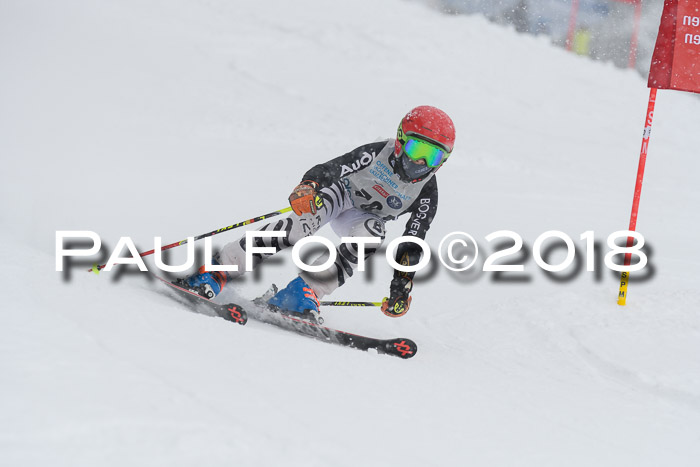 Münchner Skimeisterschaft 2018