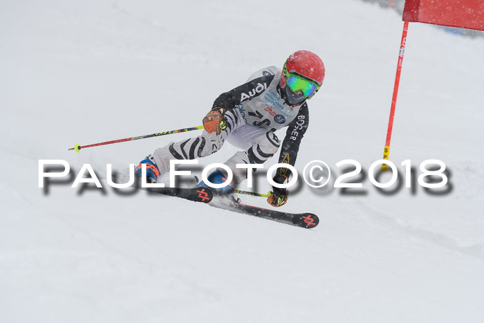 Münchner Skimeisterschaft 2018