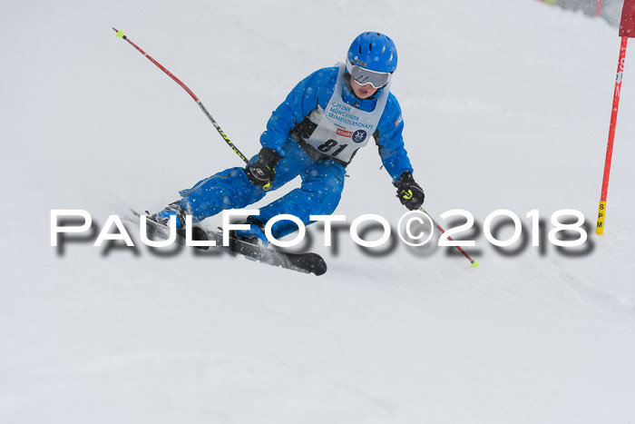 Münchner Skimeisterschaft 2018