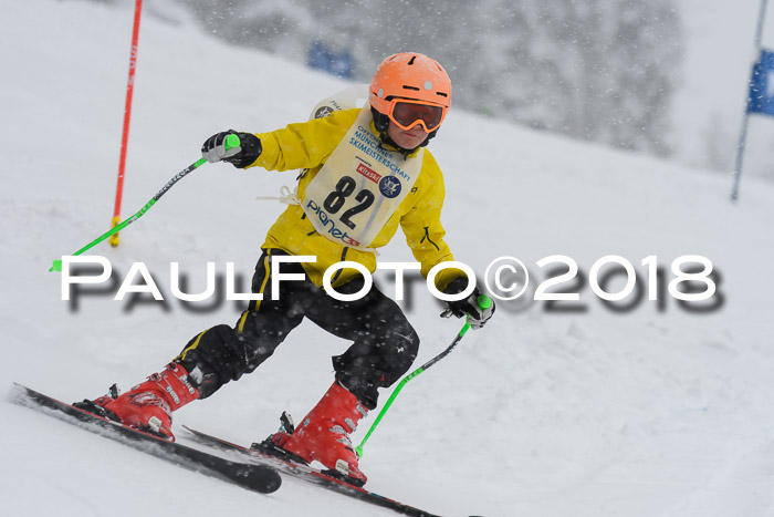 Münchner Skimeisterschaft 2018