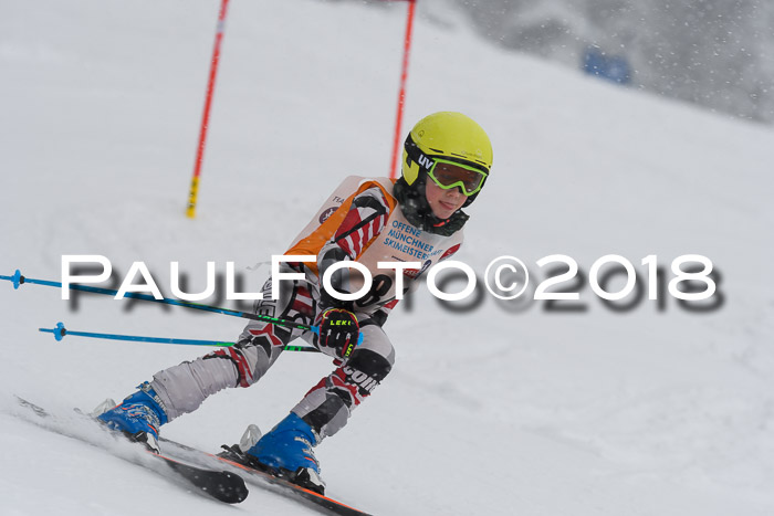 Münchner Skimeisterschaft 2018