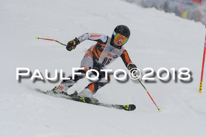 Münchner Skimeisterschaft 2018