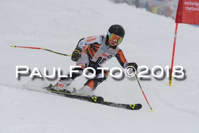 Münchner Skimeisterschaft 2018