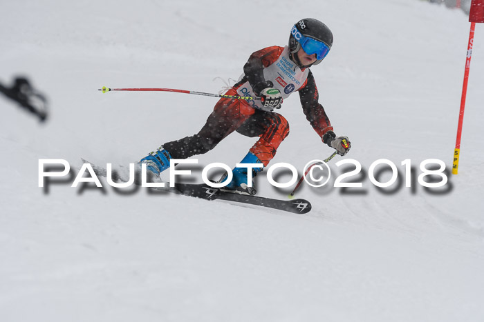 Münchner Skimeisterschaft 2018