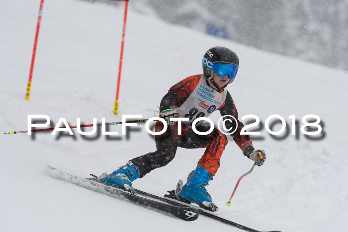 Münchner Skimeisterschaft 2018