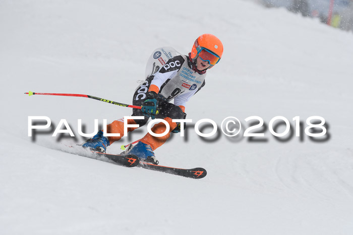 Münchner Skimeisterschaft 2018