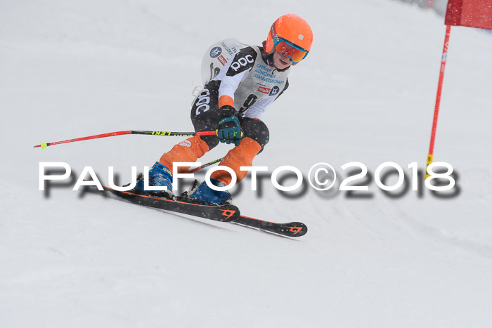 Münchner Skimeisterschaft 2018
