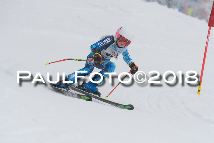 Münchner Skimeisterschaft 2018