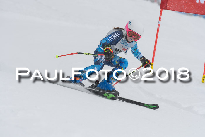 Münchner Skimeisterschaft 2018
