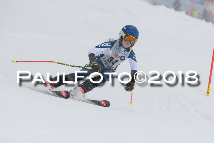 Münchner Skimeisterschaft 2018