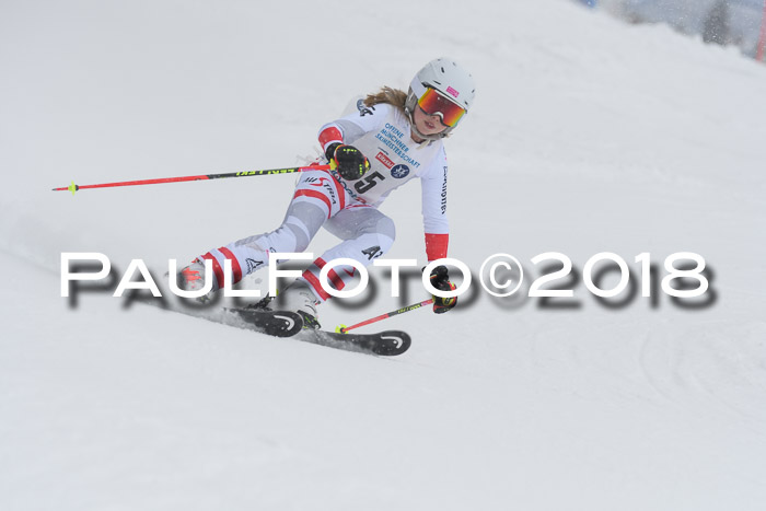 Münchner Skimeisterschaft 2018