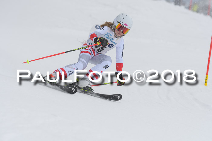 Münchner Skimeisterschaft 2018