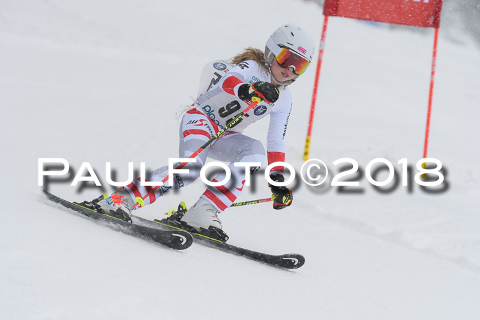 Münchner Skimeisterschaft 2018