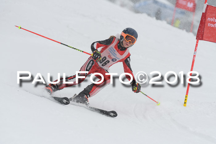 Münchner Skimeisterschaft 2018