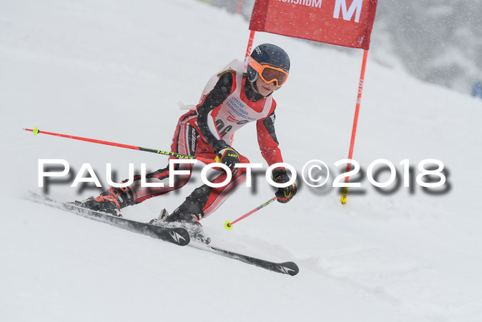 Münchner Skimeisterschaft 2018