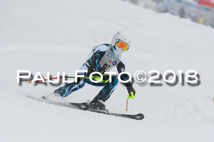 Münchner Skimeisterschaft 2018