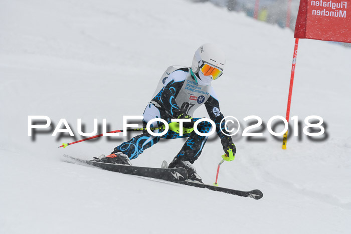Münchner Skimeisterschaft 2018