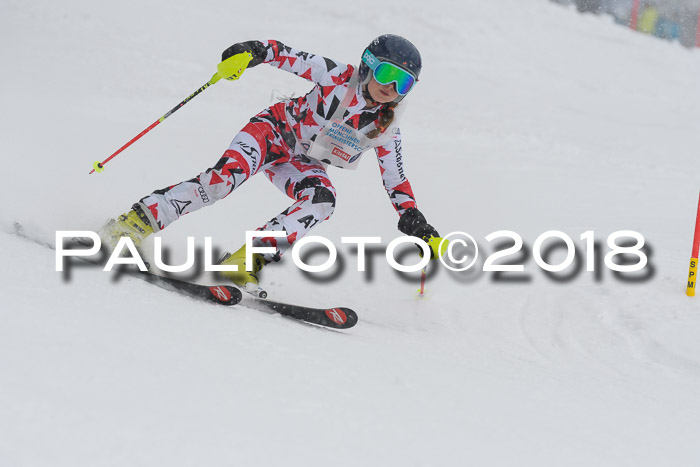 Münchner Skimeisterschaft 2018