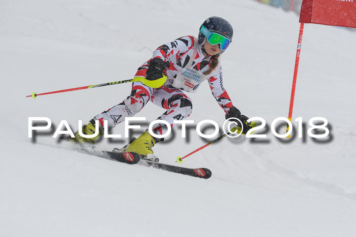 Münchner Skimeisterschaft 2018
