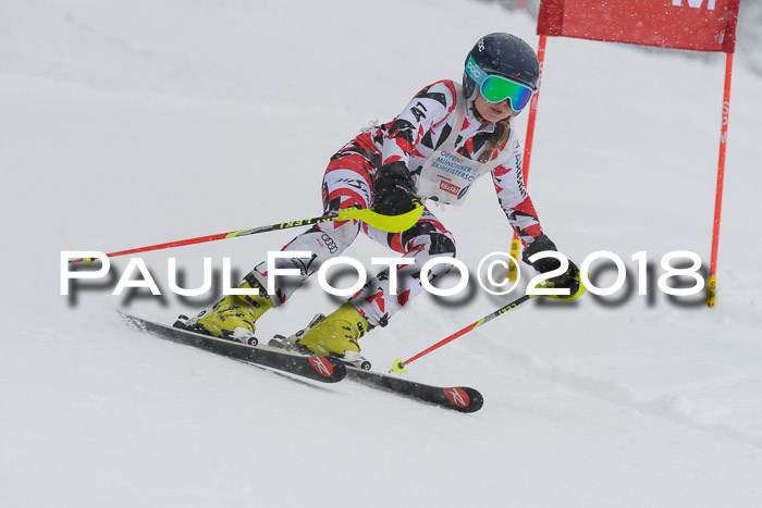 Münchner Skimeisterschaft 2018