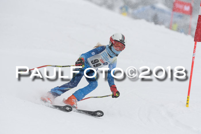 Münchner Skimeisterschaft 2018