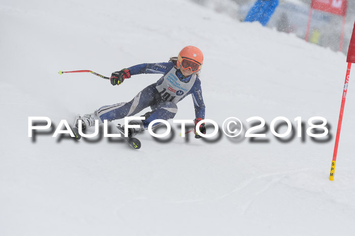 Münchner Skimeisterschaft 2018