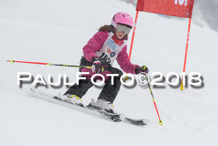 Münchner Skimeisterschaft 2018