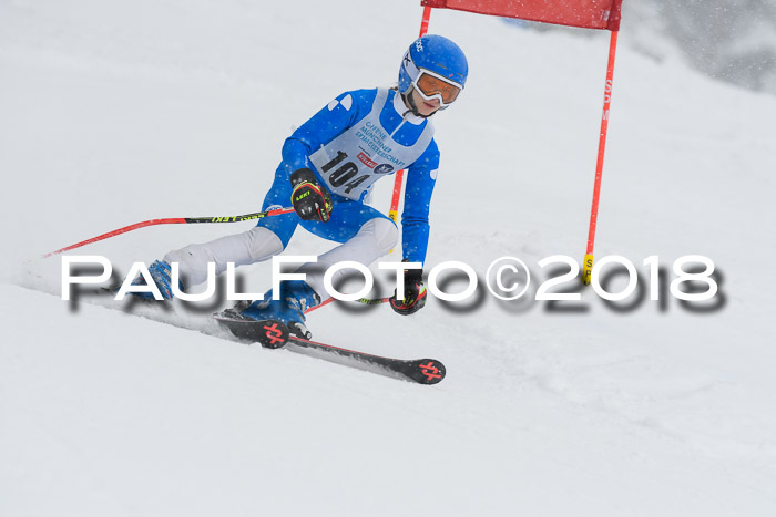 Münchner Skimeisterschaft 2018