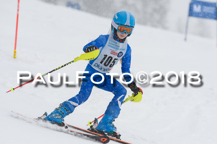 Münchner Skimeisterschaft 2018