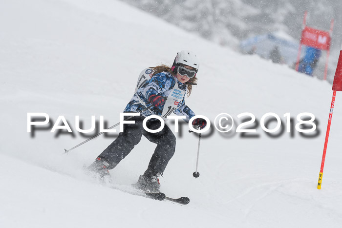 Münchner Skimeisterschaft 2018