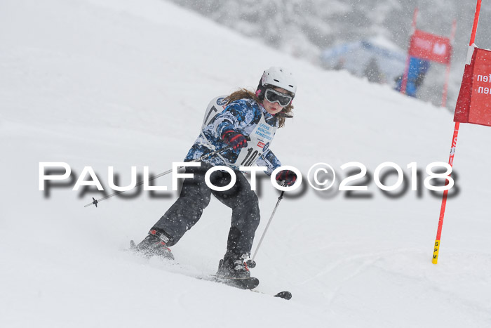 Münchner Skimeisterschaft 2018