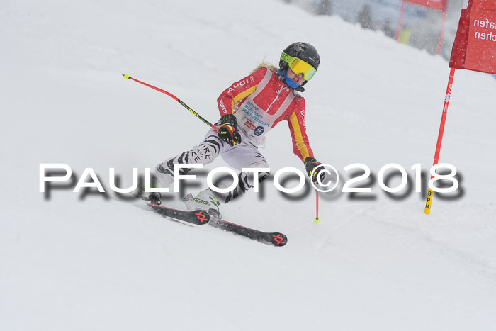 Münchner Skimeisterschaft 2018