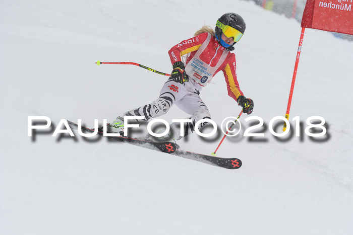 Münchner Skimeisterschaft 2018