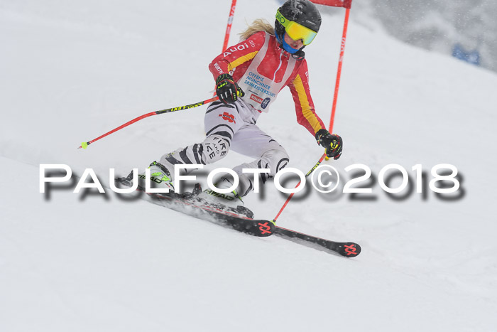 Münchner Skimeisterschaft 2018