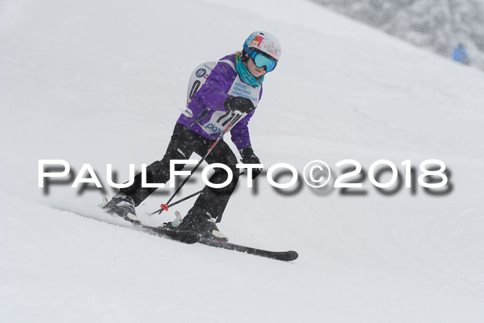Münchner Skimeisterschaft 2018