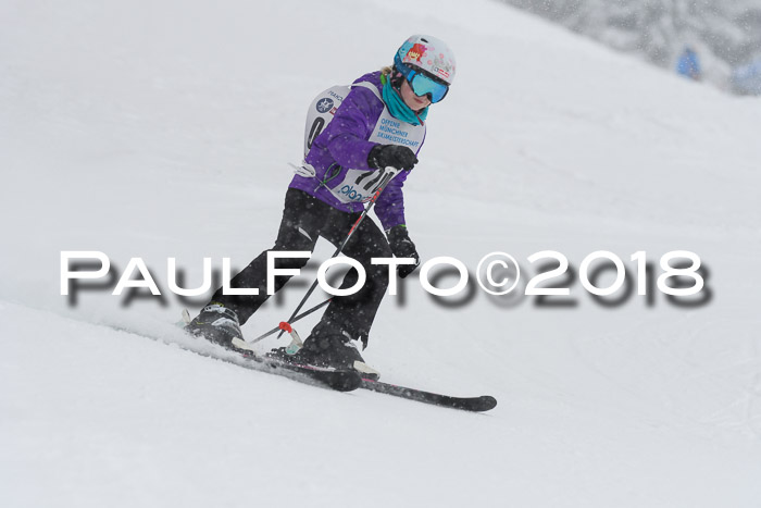 Münchner Skimeisterschaft 2018