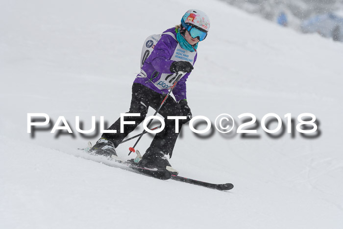 Münchner Skimeisterschaft 2018