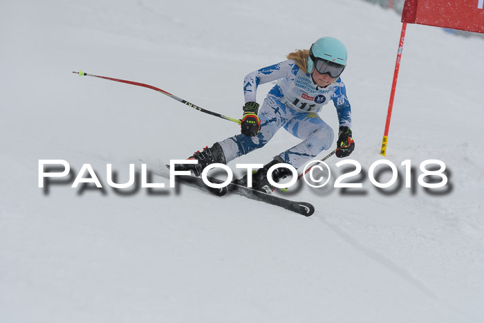 Münchner Skimeisterschaft 2018
