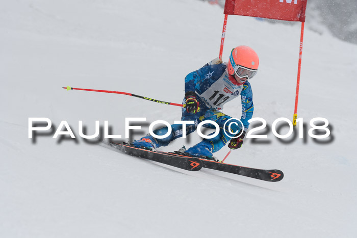 Münchner Skimeisterschaft 2018