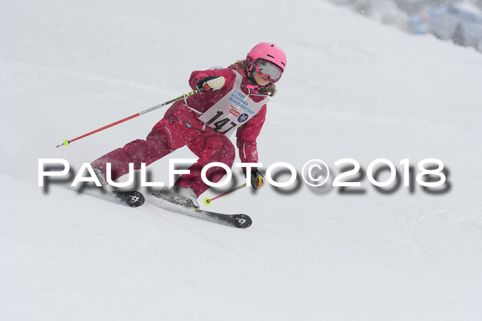 Münchner Skimeisterschaft 2018