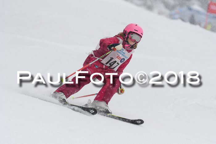 Münchner Skimeisterschaft 2018