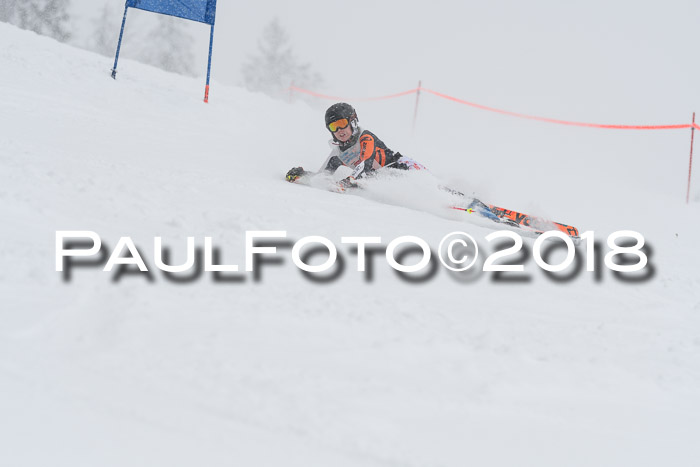 Münchner Skimeisterschaft 2018