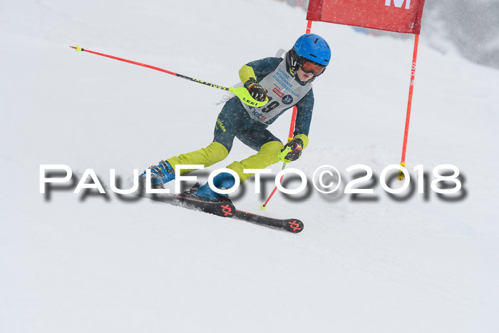 Münchner Skimeisterschaft 2018