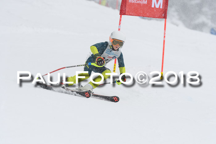 Münchner Skimeisterschaft 2018