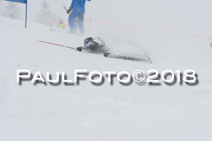 Münchner Skimeisterschaft 2018
