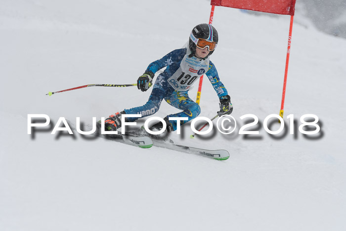 Münchner Skimeisterschaft 2018